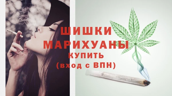 дмт Киреевск