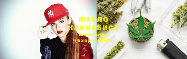 дмт Киреевск