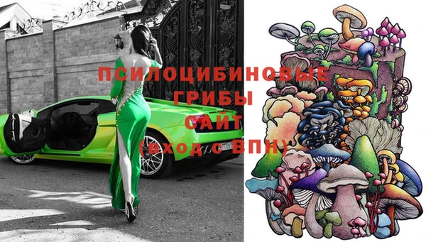 мяу мяу мука Кинешма