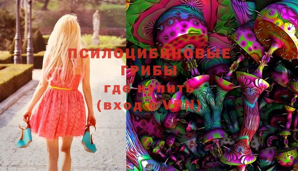 мяу мяу мука Кинешма