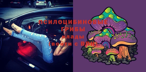 дмт Киреевск